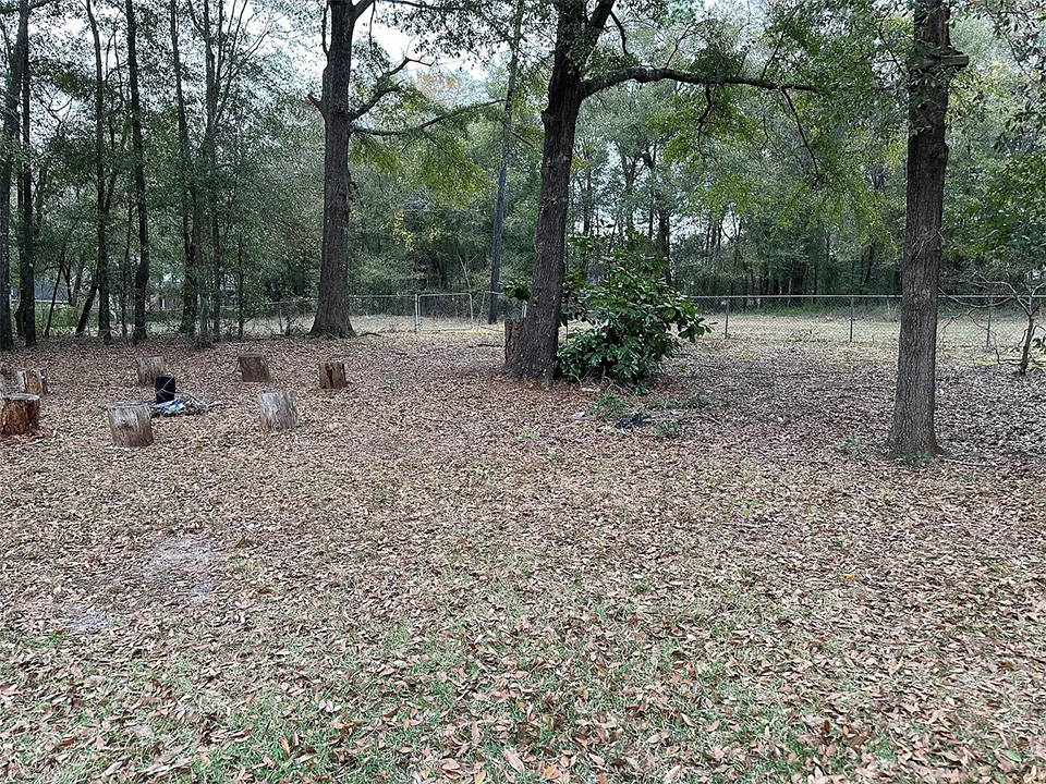 107 Mulberry Ct 3